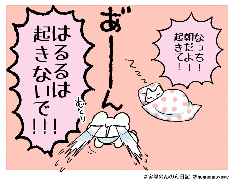 ##実録のんのん日記