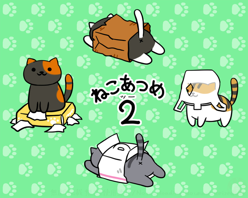 #猫#ねこ#ねこあつめ##猫