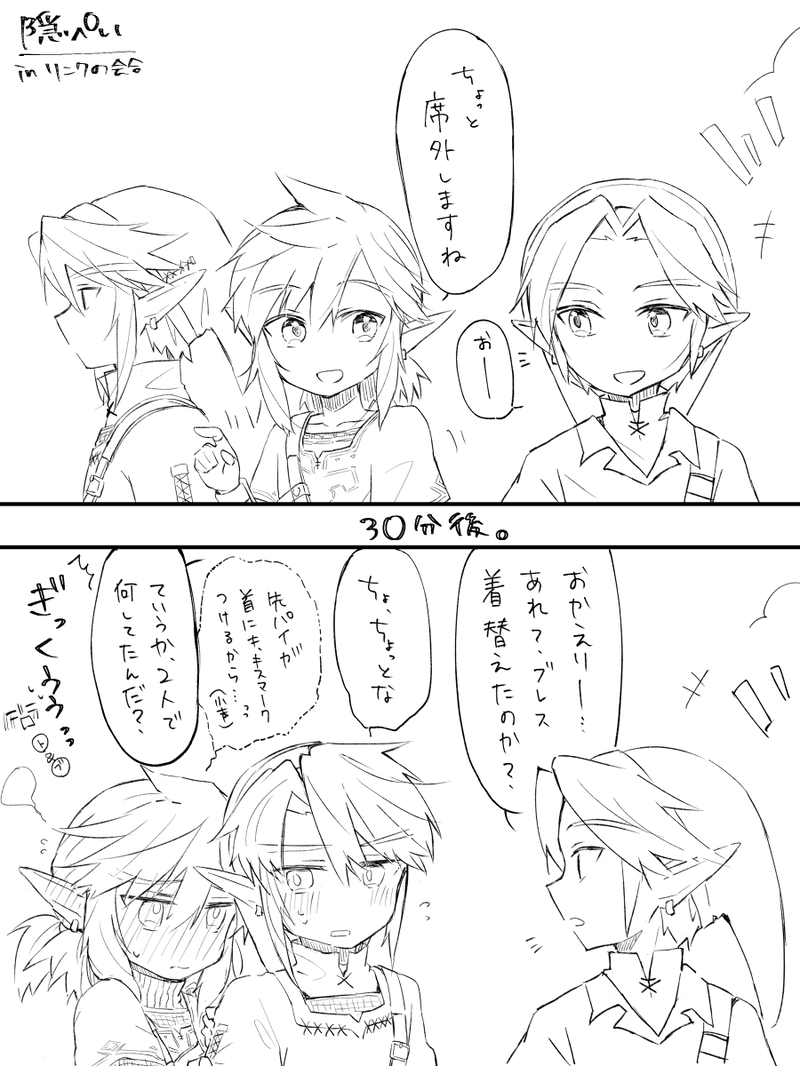 #ゼルダの伝説#トワブレ#リンク