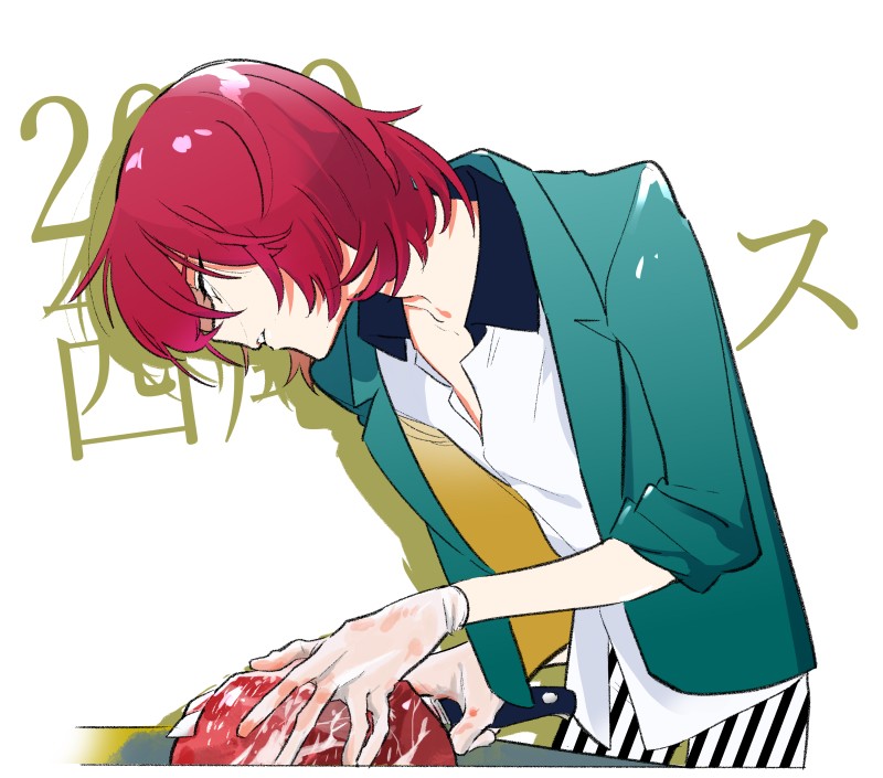 ##戯言シリーズ##美少年シリーズ##物語シリーズ