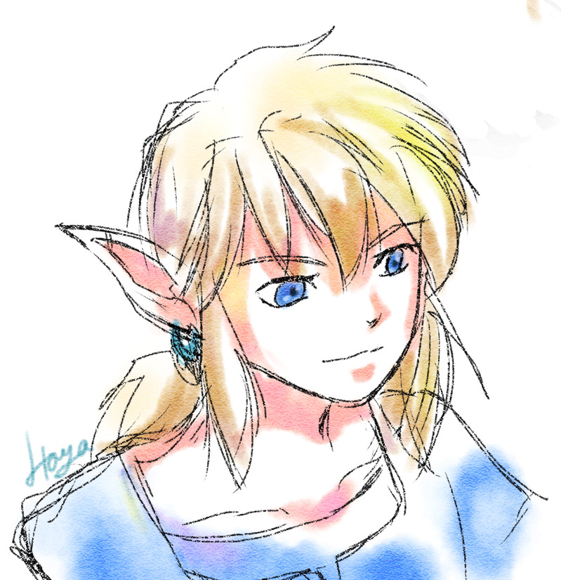 #ブレワイ#リンク#ゼルダの伝説ブレスオブザワイルド#ゼルダの伝説#ブレスオブザワイルド