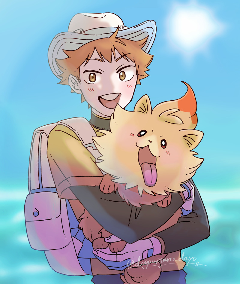 #日向翔陽#ポムケン#ポケモン#Pokemon#ハイキュー