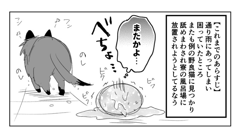 ##赤黛#赤黛##ちひよ1/2