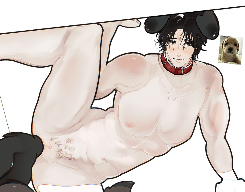 #燕云十六声#all少东家#男少东家