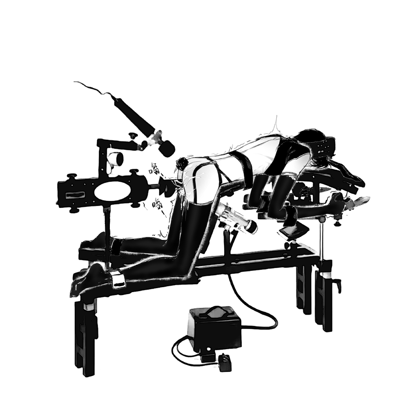 #图奈#奈费勒#苏丹的游戏