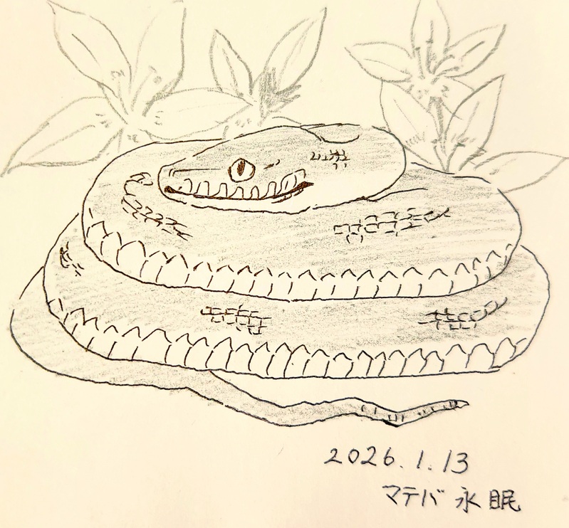 ##自宅のいきもの