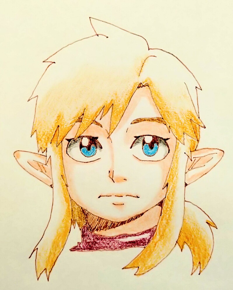 #ブレスオブザワイルド