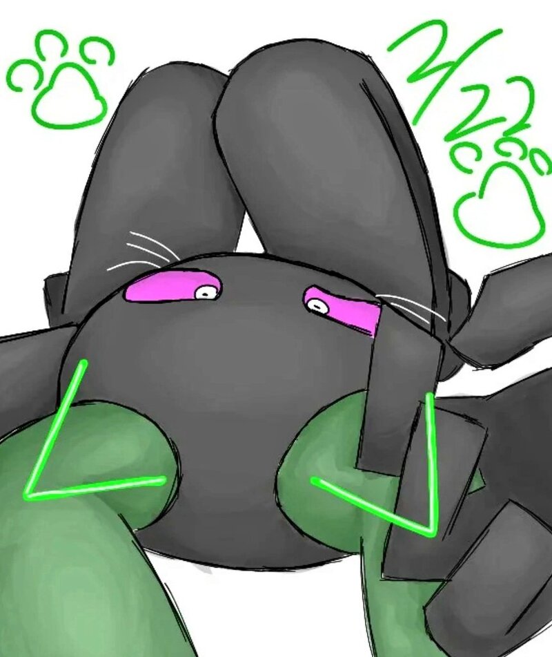 #ねこのティーチくん