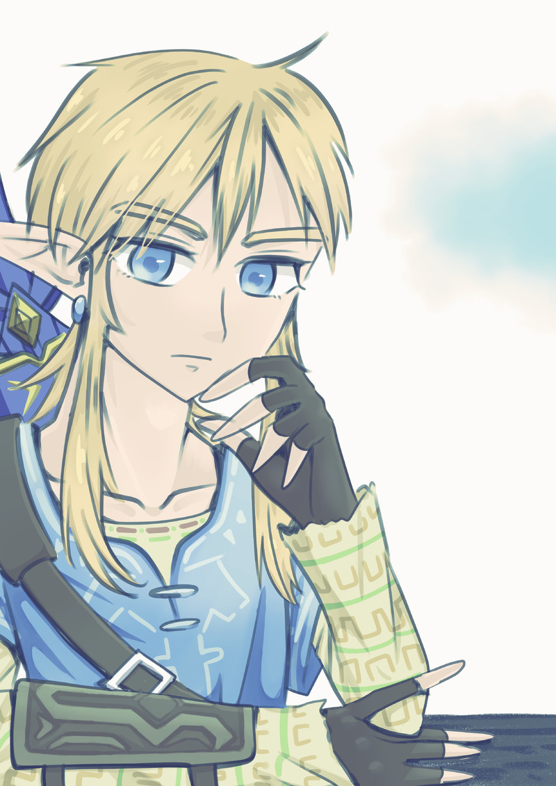 #BotW#ゼルダの伝説