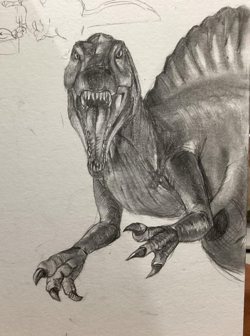 #棘龙#临摹