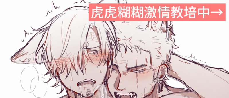 #zosan#ZS#ゾロサン